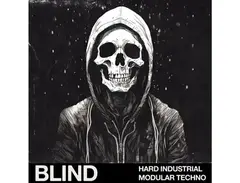 Blind Audio Hard Industrial Modular Techno main image
