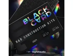 Big Fish Audio Black Card: R&B Construction Kits main image