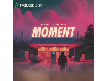 Producer Loops In The Moment