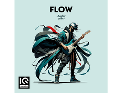 IQ Samples Flow - Guitar Vibes main image