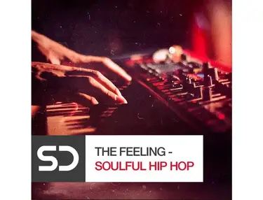 Sample Diggers The Feeling - Soulful Hip Hop