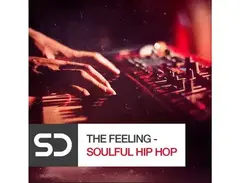 Sample Diggers The Feeling - Soulful Hip Hop main image