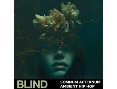 Blind Audio Somnum Aeternum - Ambient Hip Hop