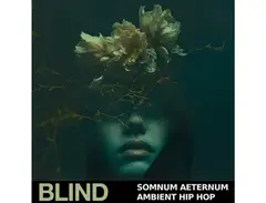 Blind Audio Somnum Aeternum - Ambient Hip Hop main image