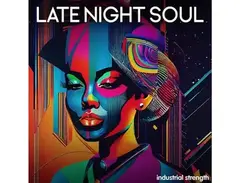 Industrial Strength Late Night Soul main image