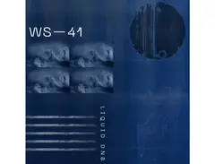 Wavetick Liquid DânâB main image
