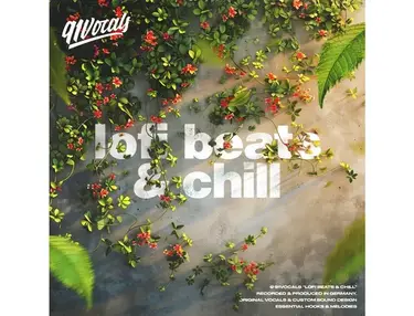 91Vocals Lofi Beats & Chill