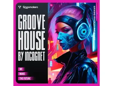 Singomakers Groove House by Incognet