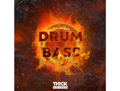 THICK Sounds Drum & Bass On Fire main image