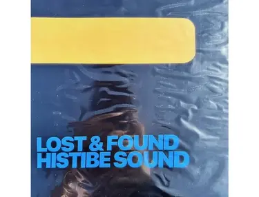 Mask Movement Samples Lost & Found Histibe Sound
