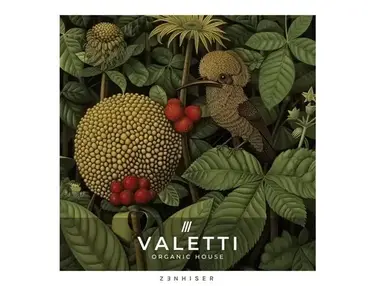 Zenhiser Valetti - Organic House