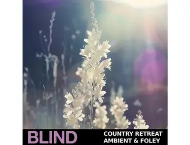 Blind Audio Country Retreat - Ambient & Foley