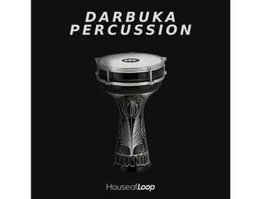 House Of Loop Darbuka Percussion