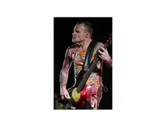 Modulus Custom Bass