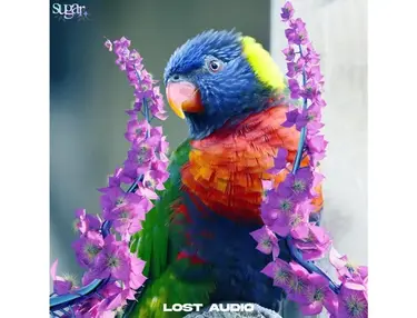 Lost Audio Sugar - Granular Sample Pack