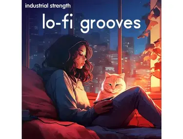Industrial Strength Lo-Fi Grooves
