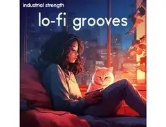 Industrial Strength Lo-Fi Grooves main image