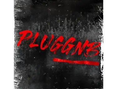 Loopmasters Pluggnb