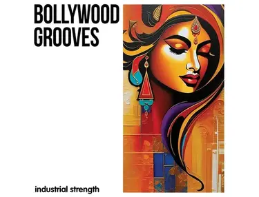 Industrial Strength Bollywood Grooves