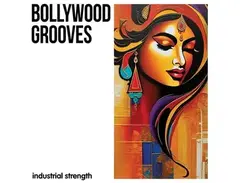 Industrial Strength Bollywood Grooves main image