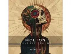 Zenhiser Molton - Melodic Techno main image