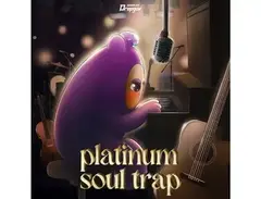 Dropgun Samples Platinum Soul Trap main image