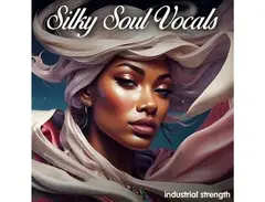 Industrial Strength Silky Soul Vocals main image
