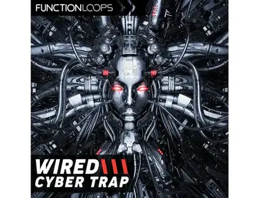 Function Loops Wired: Cyber Trap
