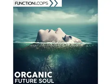 Function Loops Organic Future Soul