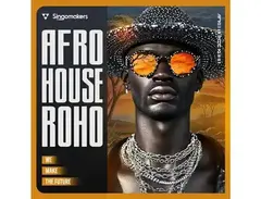 Singomakers Afro House Roho main image