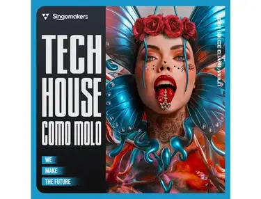 Singomakers Tech House Como Molo