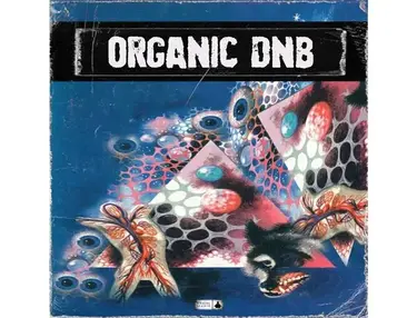 BFractal Music Organic DnB