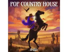 Dropgun Samples Pop Country House main image