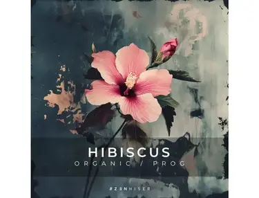 Zenhiser Hibiscus - Organic / Progressive