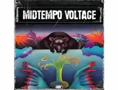 BFractal Music Midtempo Voltage main image