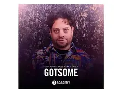Toolroom Trademark Series - GotSome main image