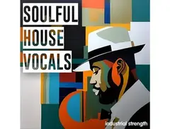 Industrial Strength ISR - Soulful House Vocals main image