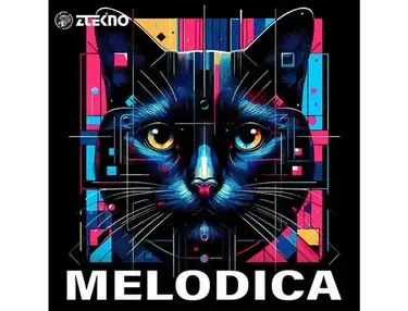 ZTEKNO Melodica
