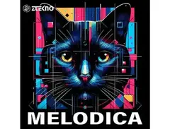 ZTEKNO Melodica main image