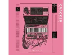 Zenhiser Cracker - Tech House main image