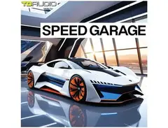 Industrial Strength TD Audio - Speed Garage main image