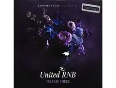 Loopmasters United RnB Vol 3 main image