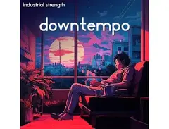 Industrial Strength - Downtempo main image