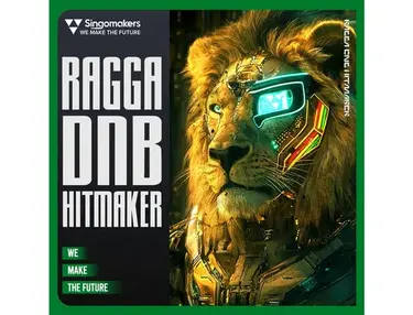 Singomakers Ragga DNB Hitmaker