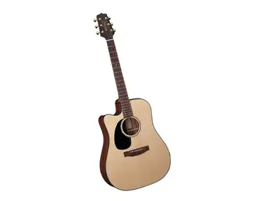 Takamine EG340CLH