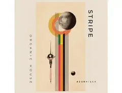 Zenhiser Stripe - Organic House main image
