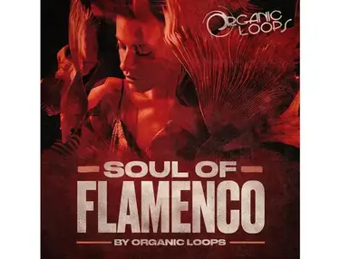 Organic Loops Soul Of Flamenco