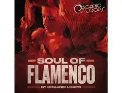 Organic Loops Soul Of Flamenco main image