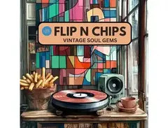 Soundsmiths Flip N Chips - Vintage Soul Gems main image