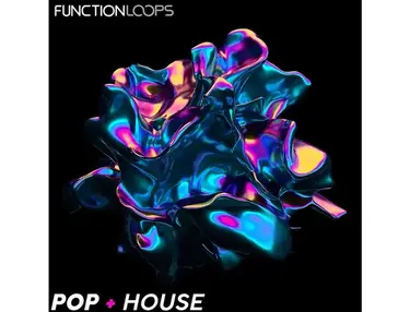 Function Loops Pop + House